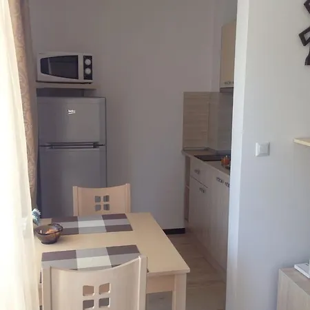 Studio Morskoy Bereg סבטי ולאס